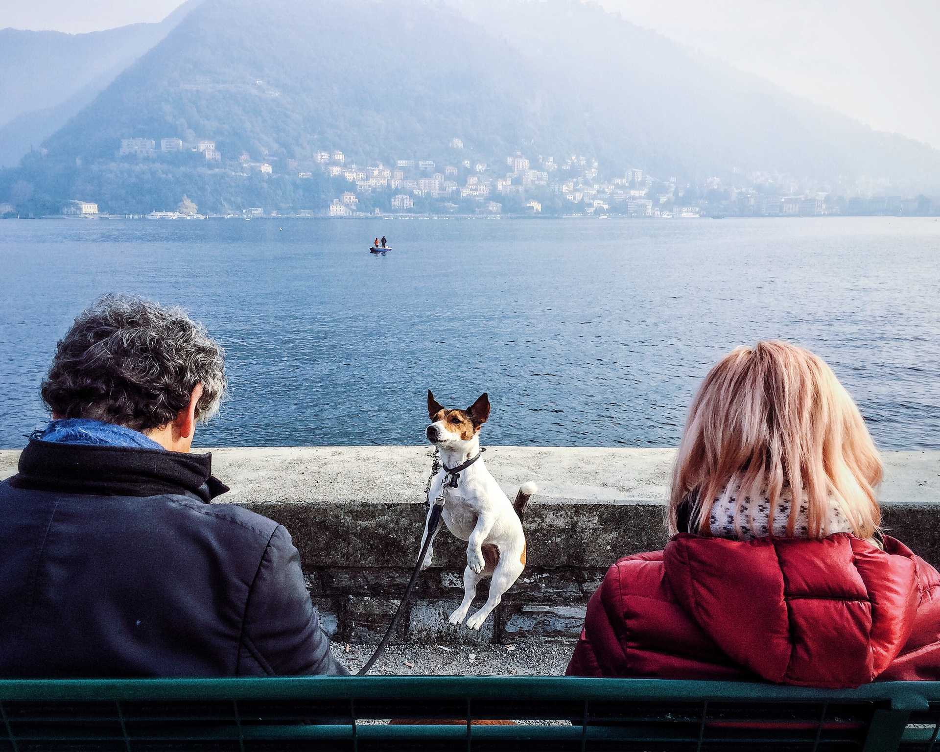 Navigating Life Insurance with a Chronic Illness: An Essential Beginner's Guide